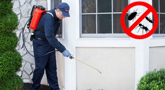 Sığacık Kemirgen İlaçlama böcek ilaçlama ve haşere kontrolü — ilaclama-tr.com